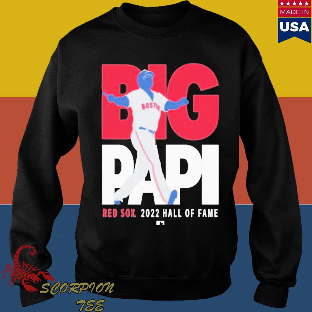 Official david ortiz big papI Shirt, hoodie, longsleeve, sweater