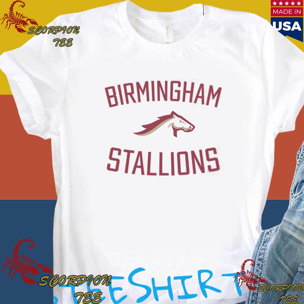 Official united States Football League Birmingham Stallions South Division  Champions Shirt, hoodie, sweater, long sleeve and tank top